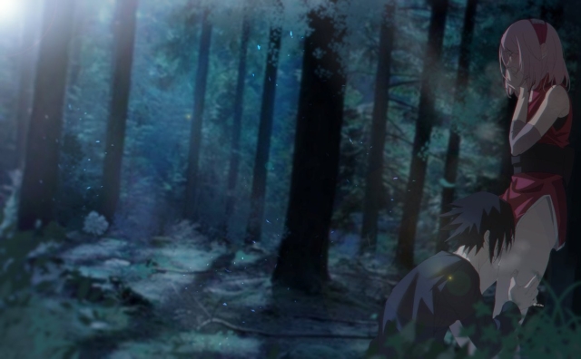 haruno sakura,uchiha sasuke