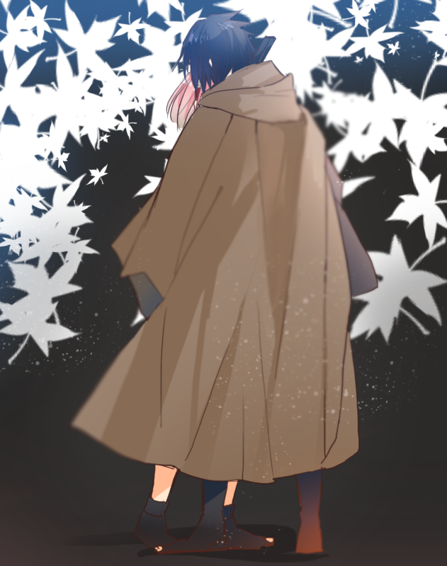 haruno sakura,uchiha sasuke
